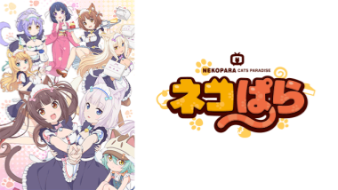 【『ネコぱら 』 】コスプレ衣装